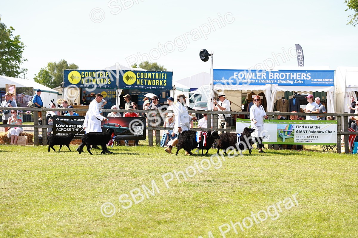 SBM_08290 - Grand Parade