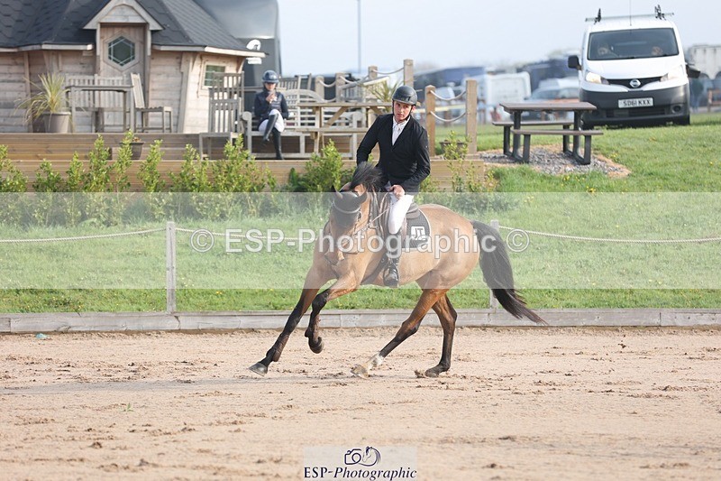 250424-084756-02524 - Cls 25 Young Horse 5yr old