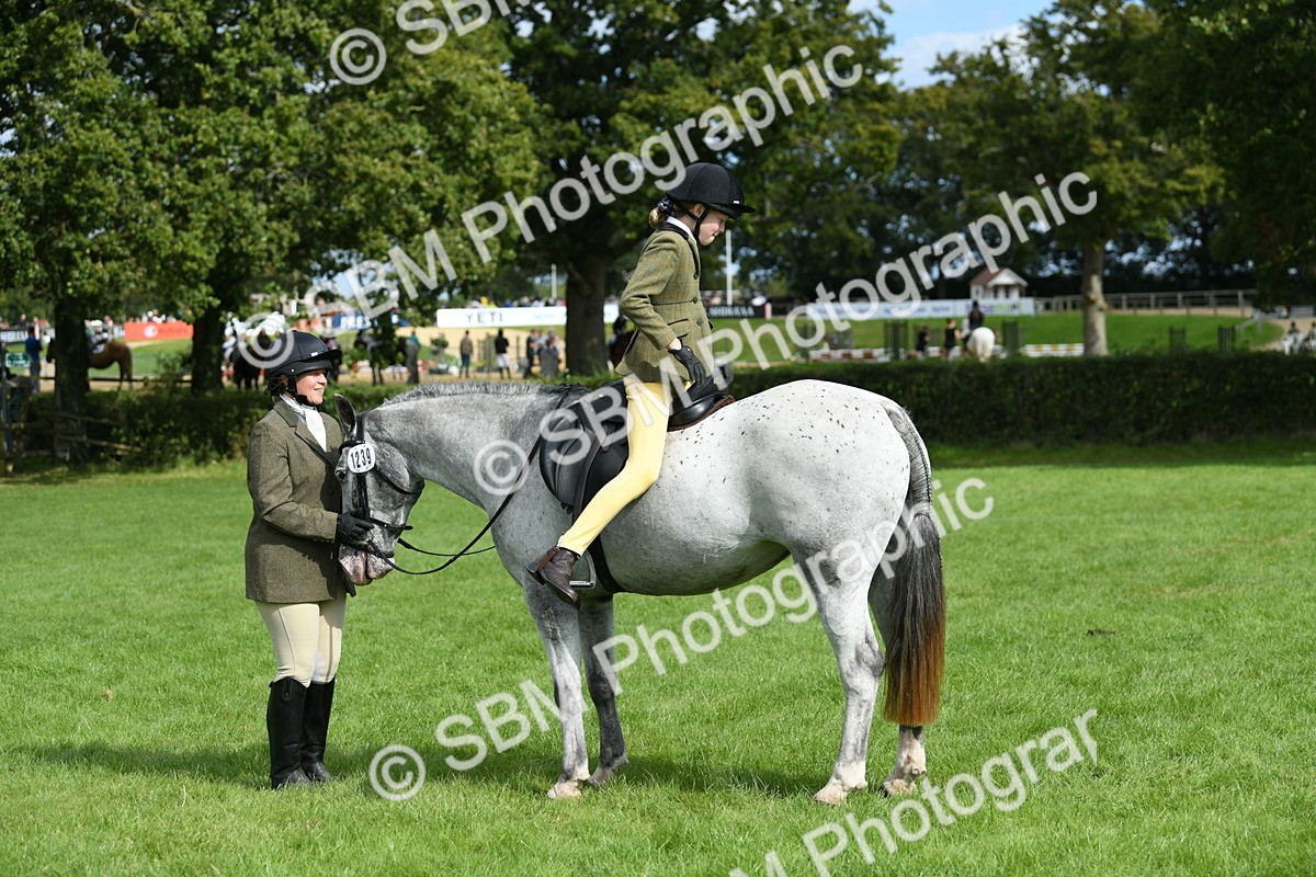 SBM_46884 - S12 - Family Horse & Pony