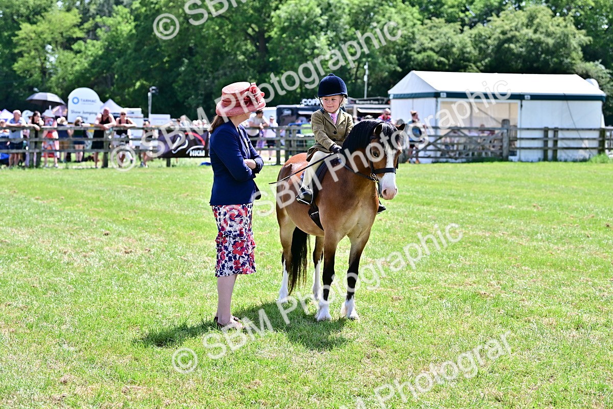 SBM_06107 - Class 59-60 - TSR M&M  Lear Rein and First Ridden Amateur of the year
