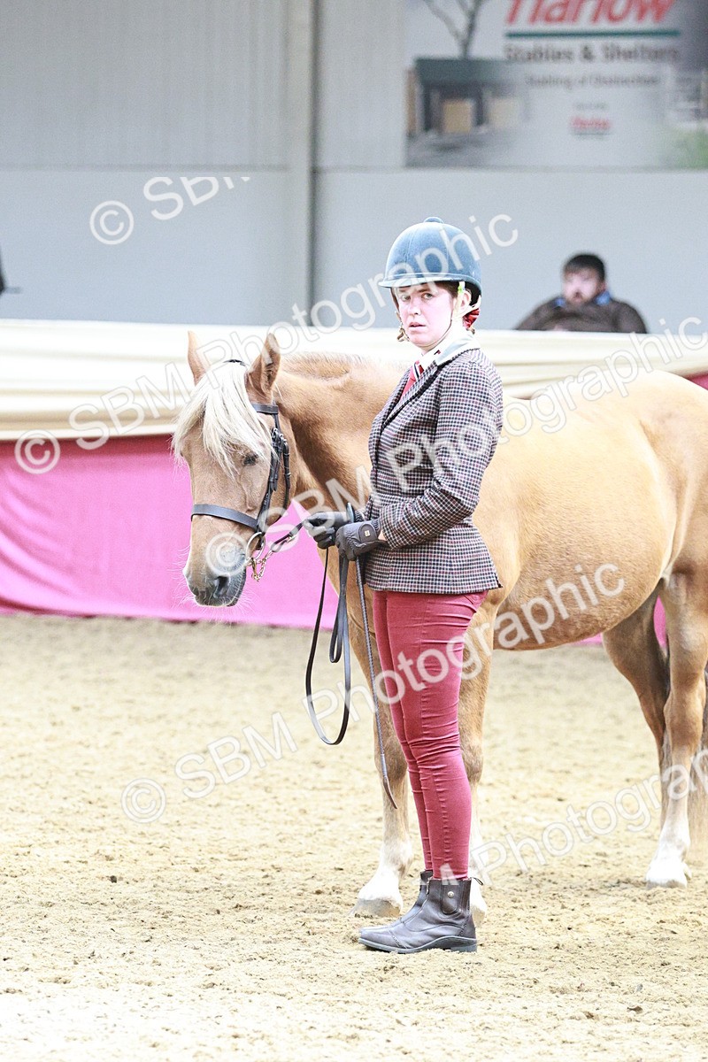 SBM_04785 - Class 7R - Regional IH Diamond