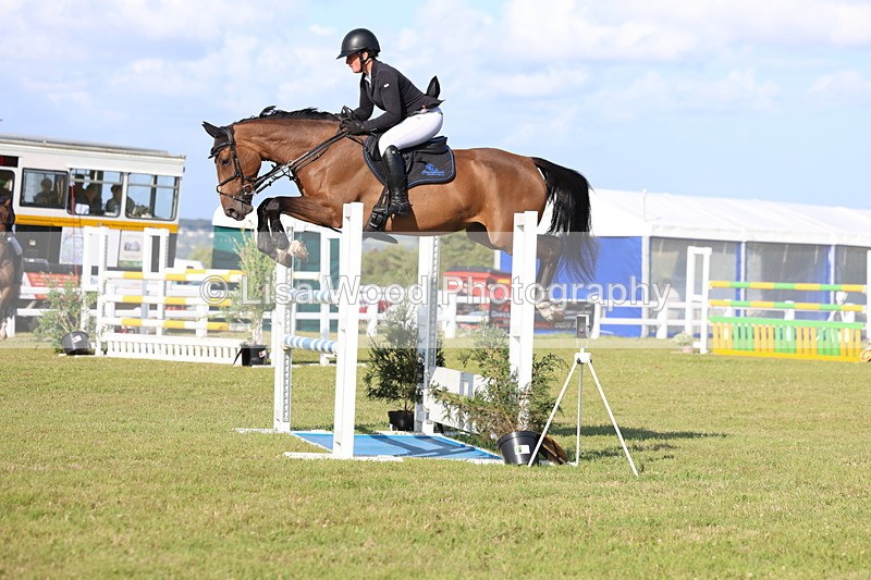 3E7A4289 - Class C: Showjumping Senior Foxhunter