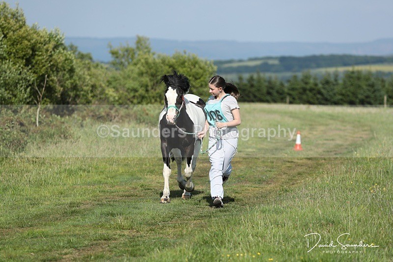 SPXX0060 - Friday vetting