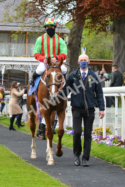 yr14052021r7-35 - Race 7 4.50pm Irish Thoroughbred Marketing Stakes