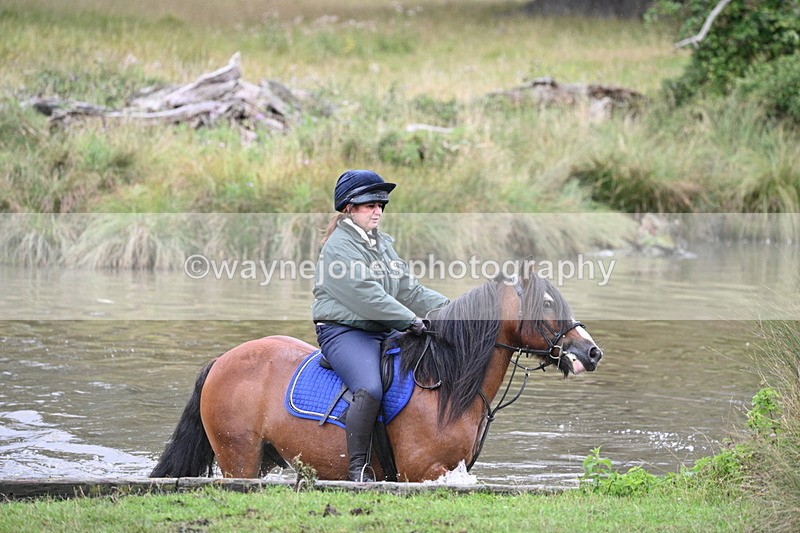 WJ7_5780 - Time at Water 14:54 to 15:14