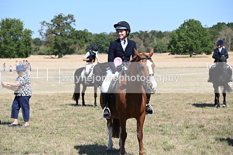 WJ6_8515 - Class 37a Best Loan Pony Ridden