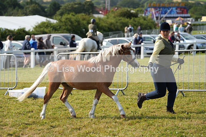 DSC04975 - Class 48: NPS M&M 2/3 year olds