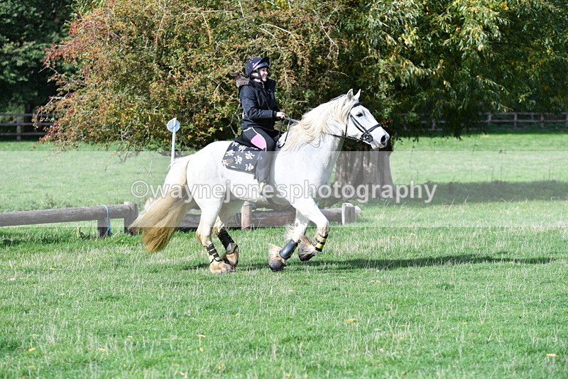 WJ5_7898 - Time 10:31 to 12:01