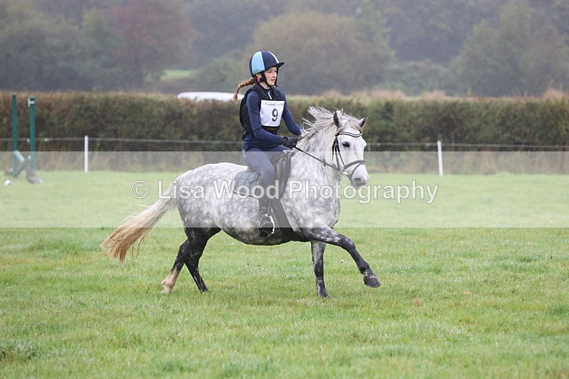 JPP_4967 - Class 1: 65cm : Showjumping