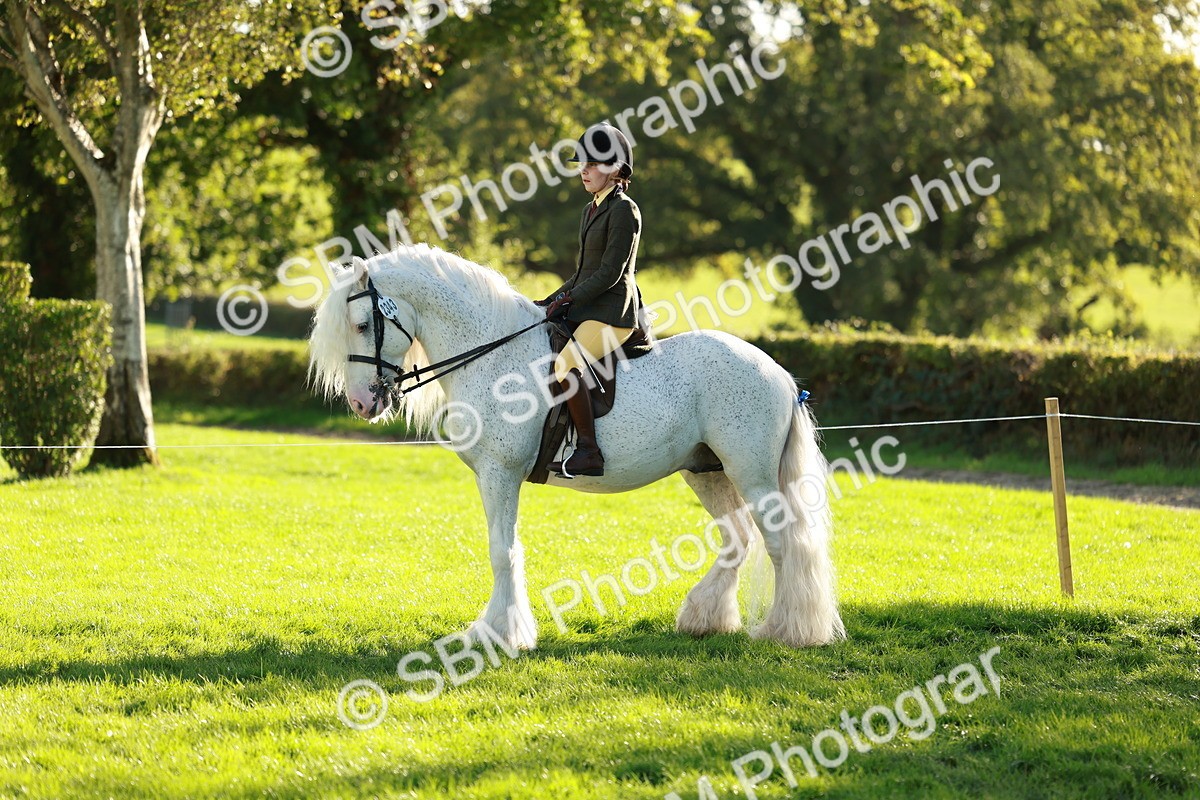SBM_28738 - S7 - Novice & Newcomer Ridden Pony