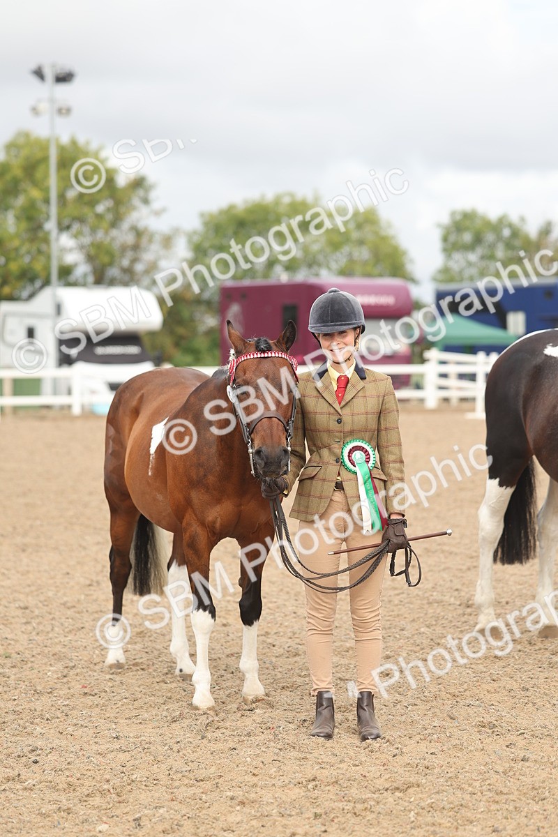 SBM_02145 - Class 15 - IH Coloured