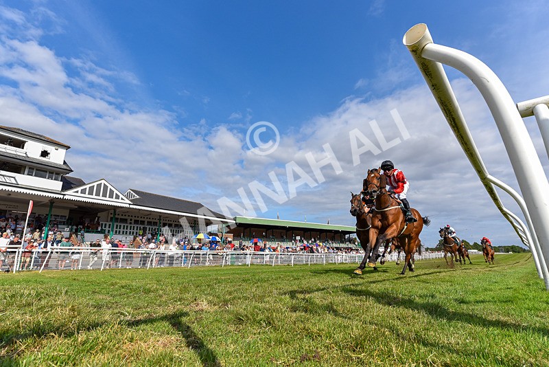 220726-Race 6-Barmyblade-3816 - Race 6 16.42pm Racing Again 4th August Handicap