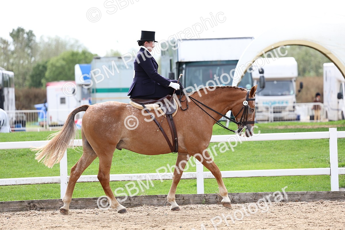 SBM_03379 - Class 24 - SSA Concours d'elegance (any age)