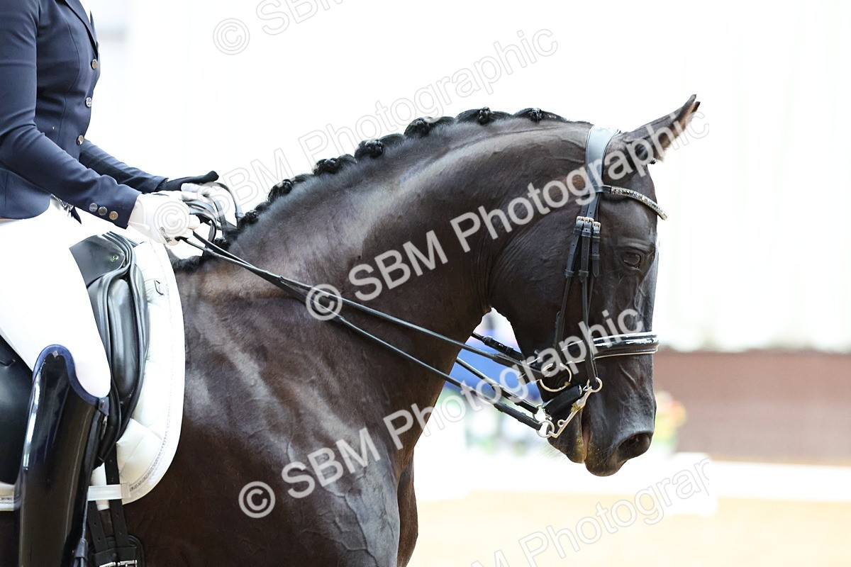 SBM_018041 - Class 19 - Adv Medium FSM - 14.10-15.30