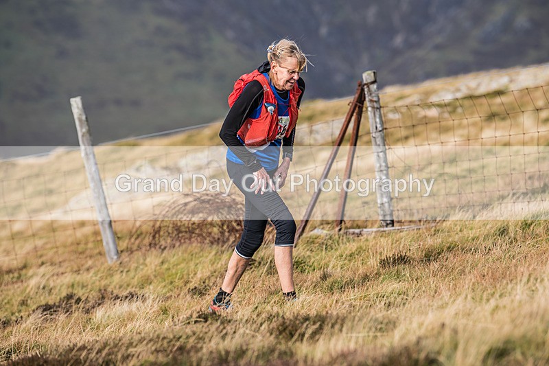 Buttermere-456 - Buttermere Shepherds Meet Fell Race Sunday 27th October 2024
