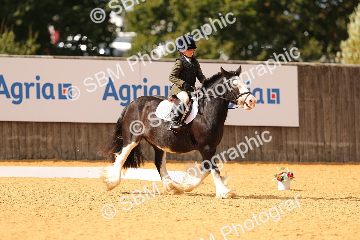 SBM_48232 - D22 - Junior Championship - Intro B