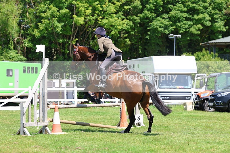 3E7A7464 - Class 31: Working Hunter Cob/Riding Horse