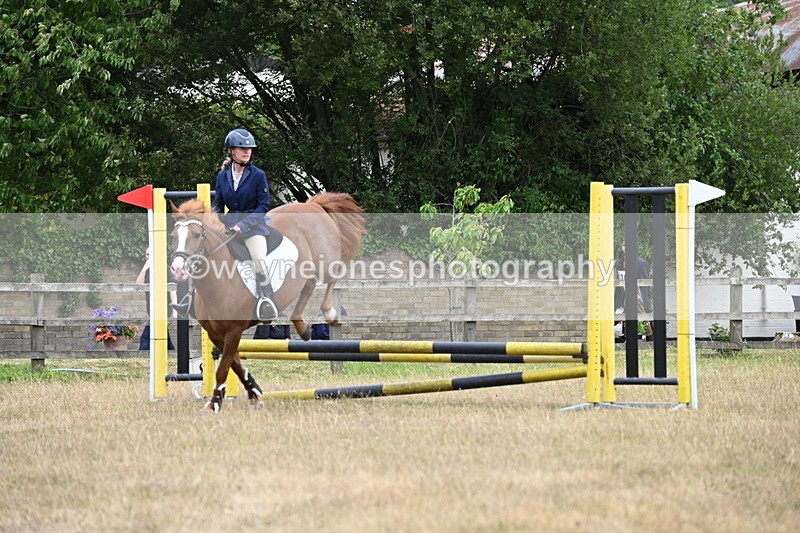 WJ6_0217 - Class 13 Novice Jumping 60cm