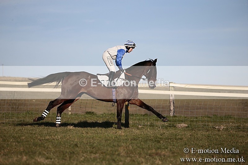 PtP 240218 650 - Vine & Craven Hunt Point-to-Point Barbury racecourse 24/02/18