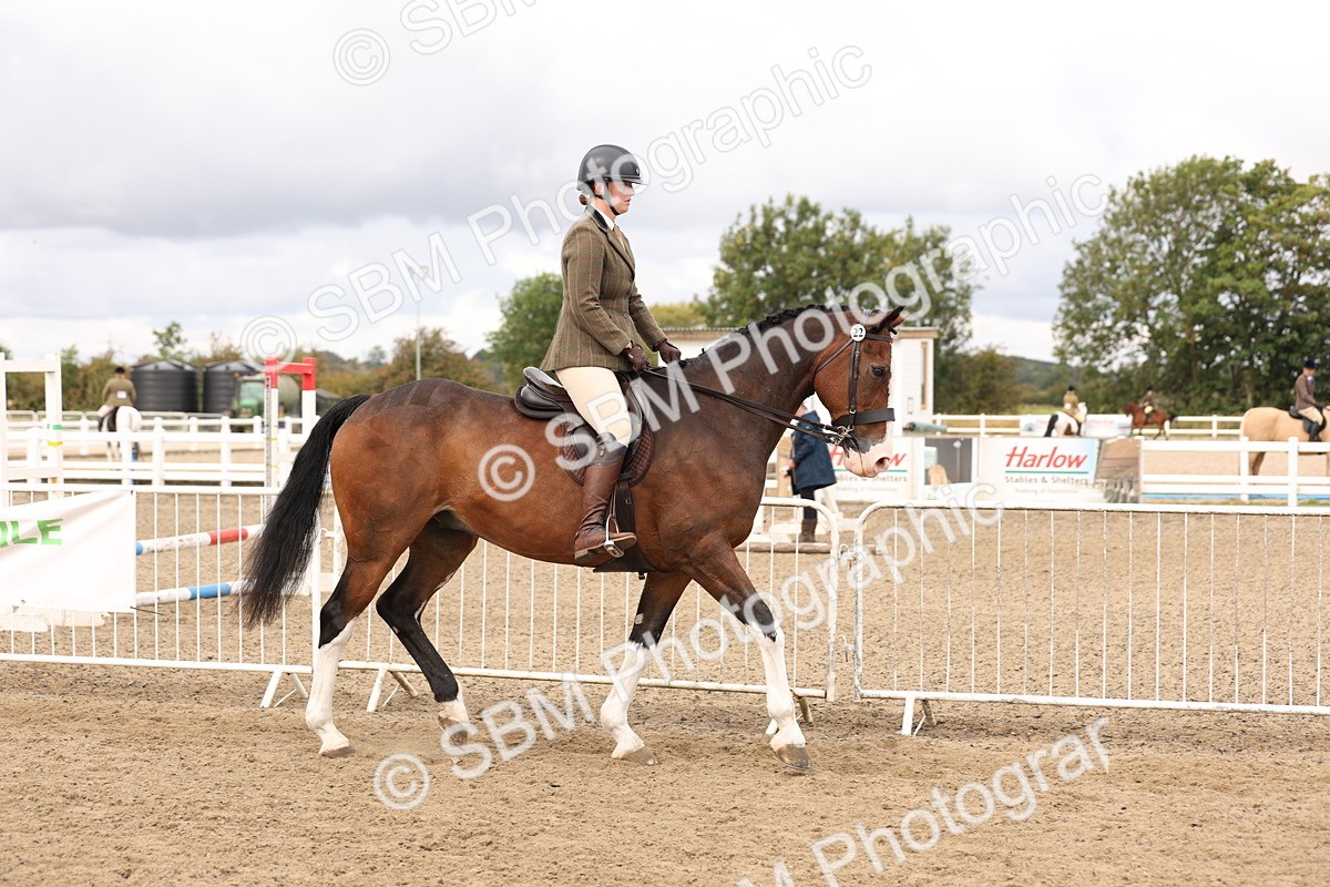 SBM_02812 - Class 53 - Ridden Competition Horse/Pony