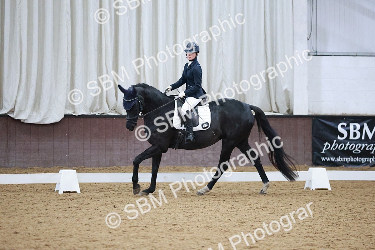 SBM_004708 - Ring 3 - International -  Working Hunter Classes 23-2-25
