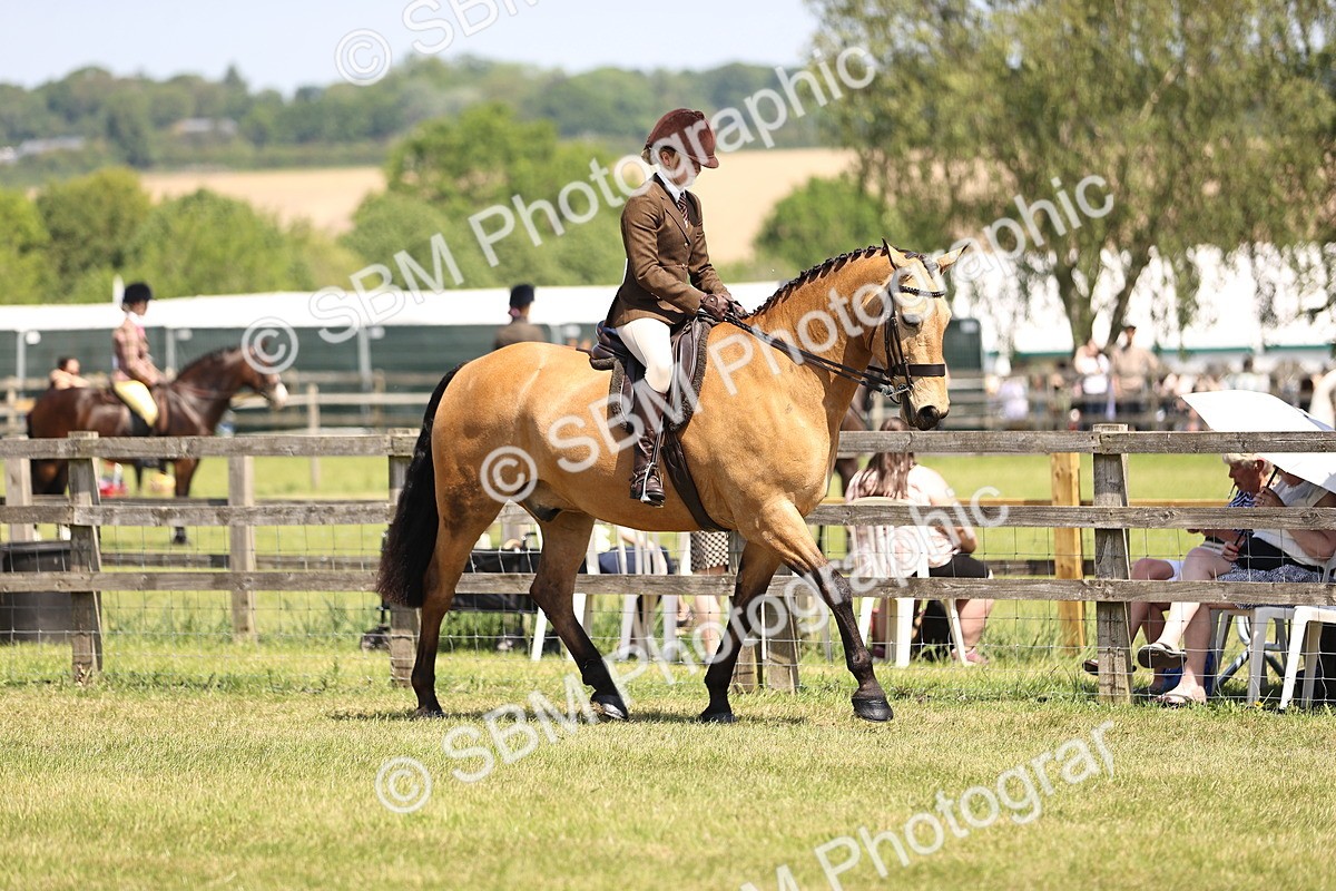 SBM_15033 - Class 79-80 - LIHS BSHA Rising Star Ridden Hunter