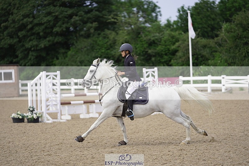 230625A-092610-03190 - Cls 1 Pony Discovery & Open
