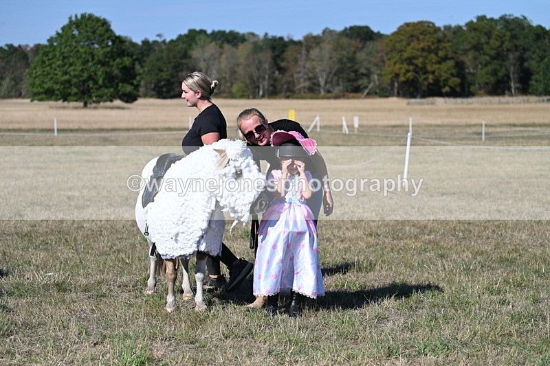 WJ7_2844 - Class 45 Fancy Dress (My Fav)