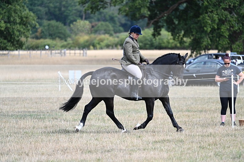 WJ7_6130 - Class 13 Ridden Veterans