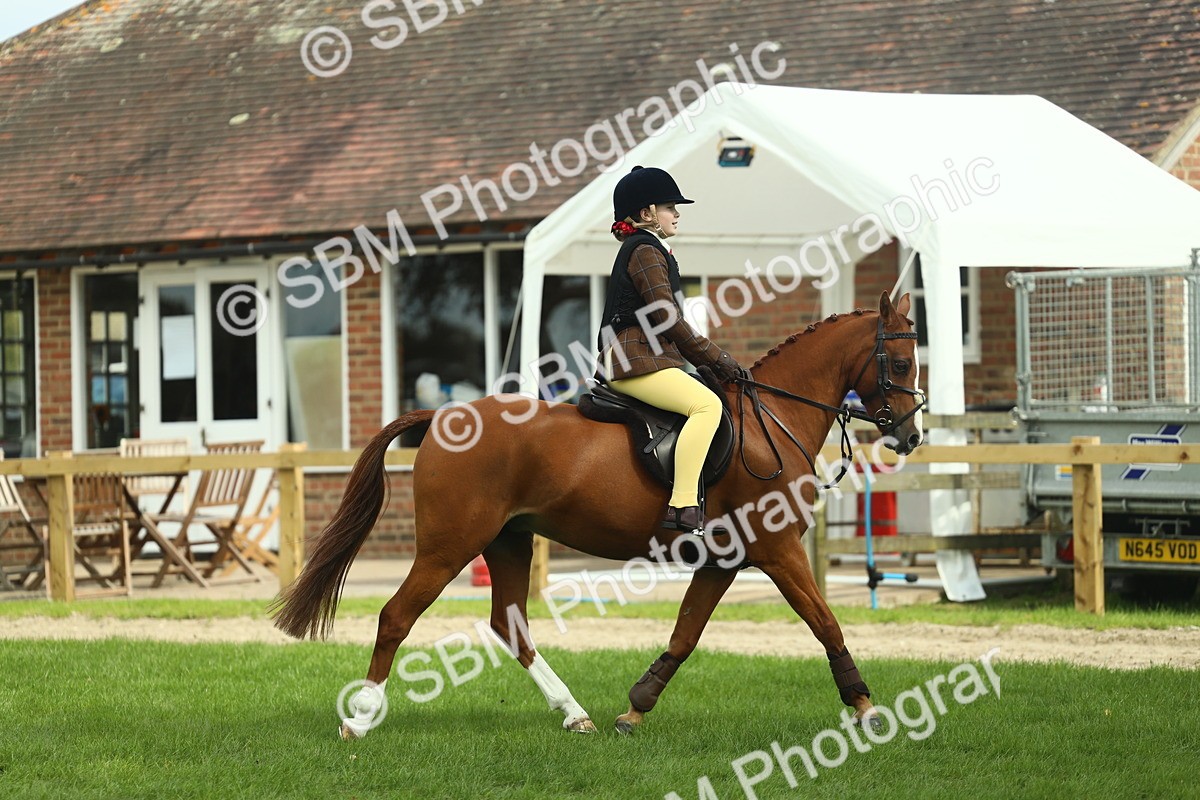 SBM_44630 - S31 - Working Hunter Pony