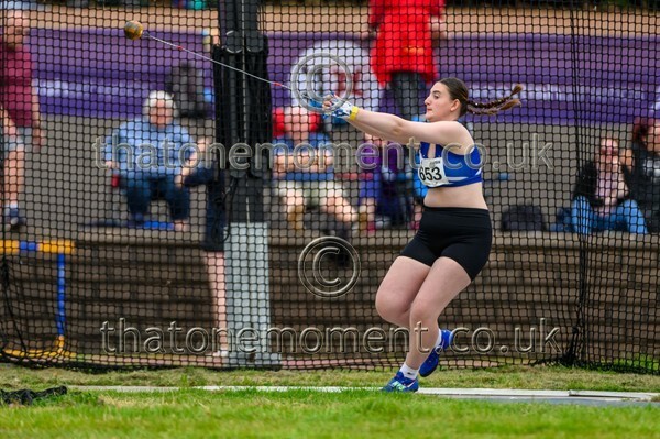 Sen25SAT-926684 - Field Female Set Two