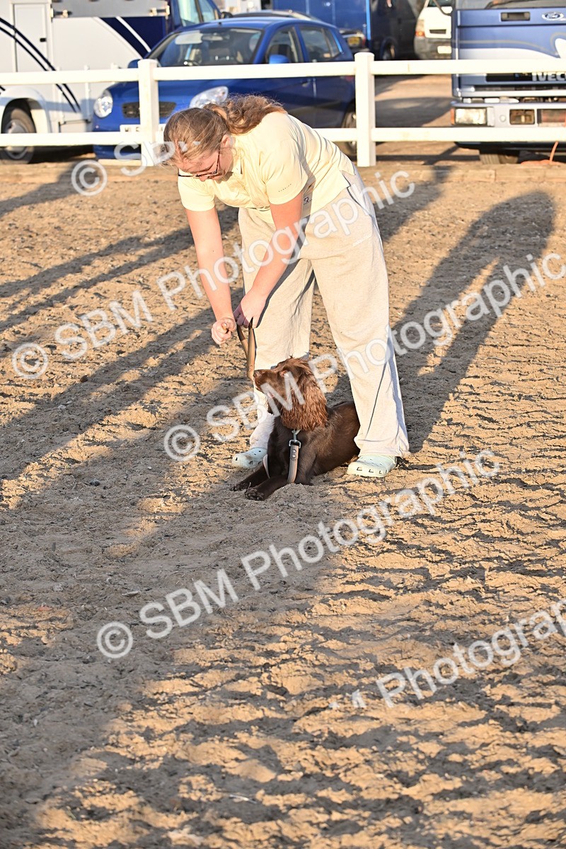 SBM_09667 - Lorry Dogs