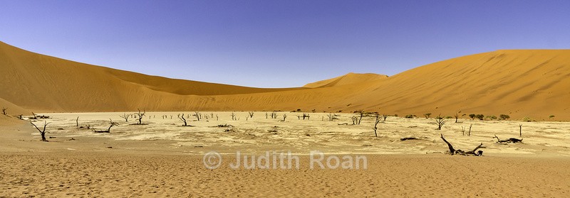 Dead Pan, Namibia - Namibia 2022