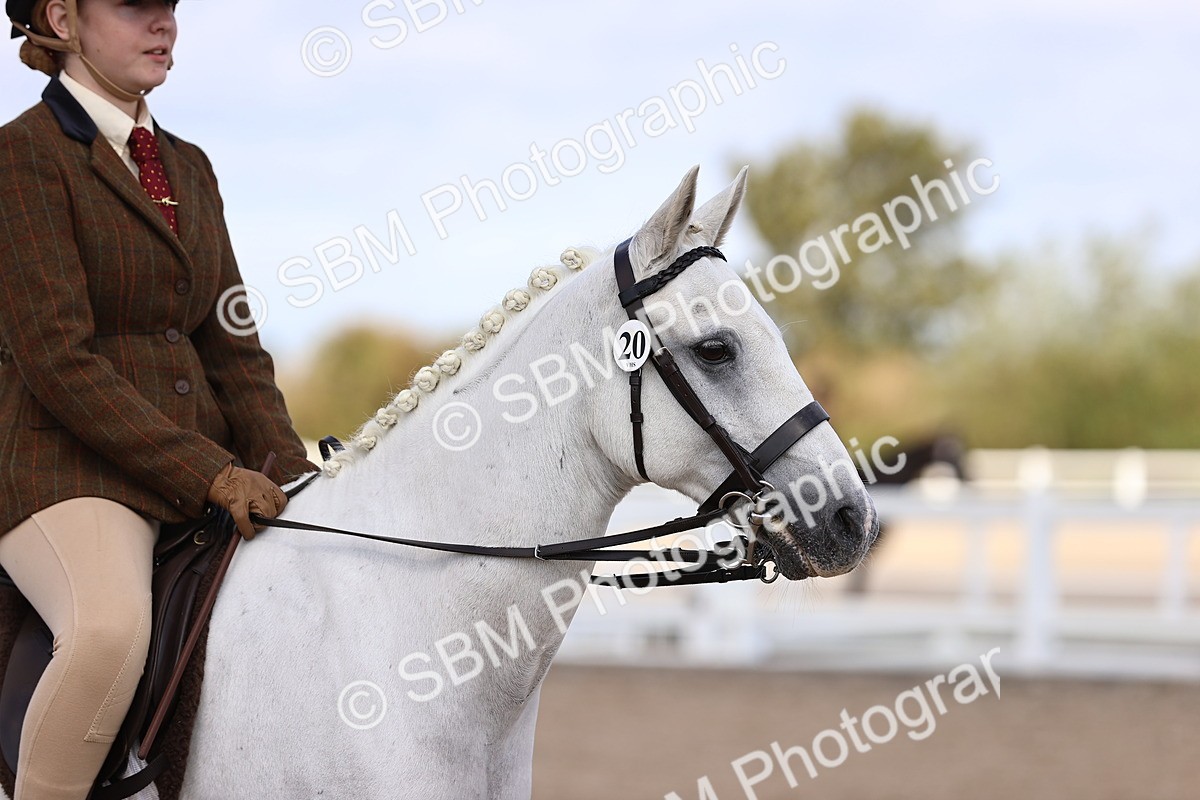 SBM_11648 - Class 408 - Grassroots Ridden - Walk & Trot