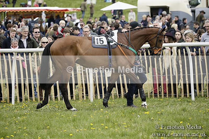 PtP 170417 126 - Old Berks Point-to-Point Lockinge 17/04/17