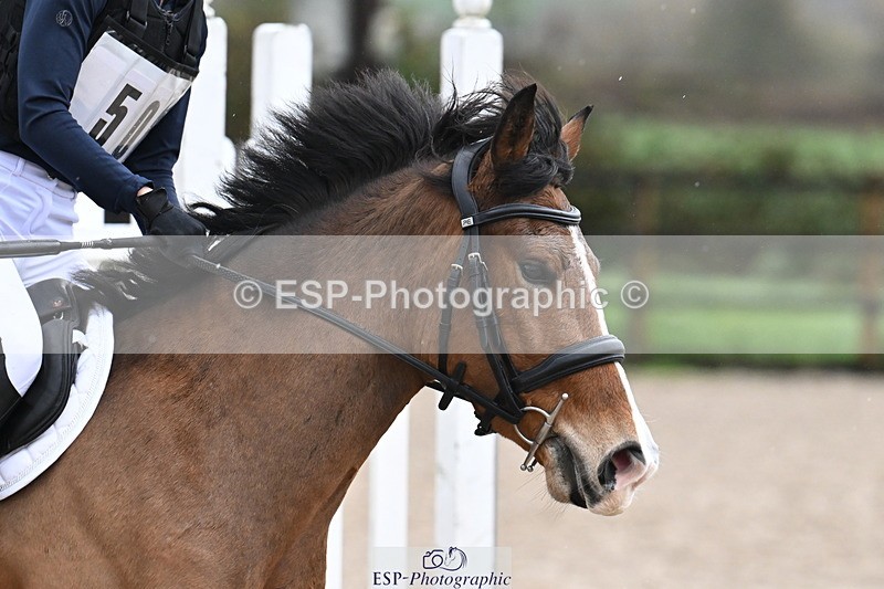 251109A-151515-01341 - Cls 07 60-65cm AE