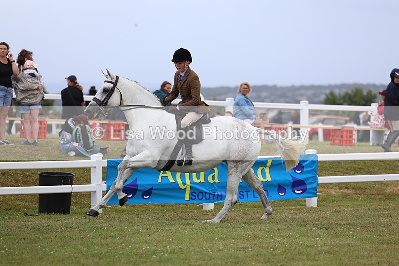 3E7A1519 - Class 9: Open Hunter