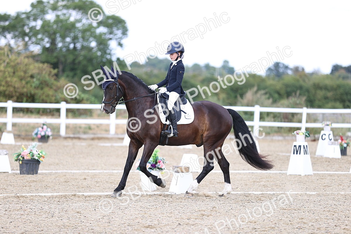SBM_015321 - Class 5 - E5 Bronze 14.42.15.54