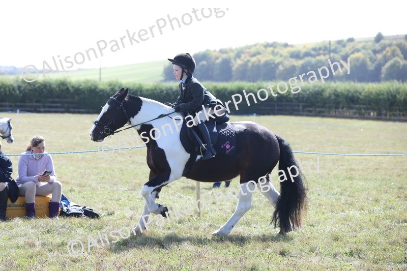 20250831-2490 - Class 16 - Family Pony