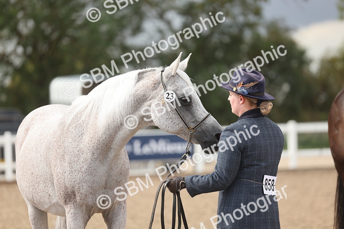 SBM_06899 - Class 25 - IH Foreign Breeds - Purebred
