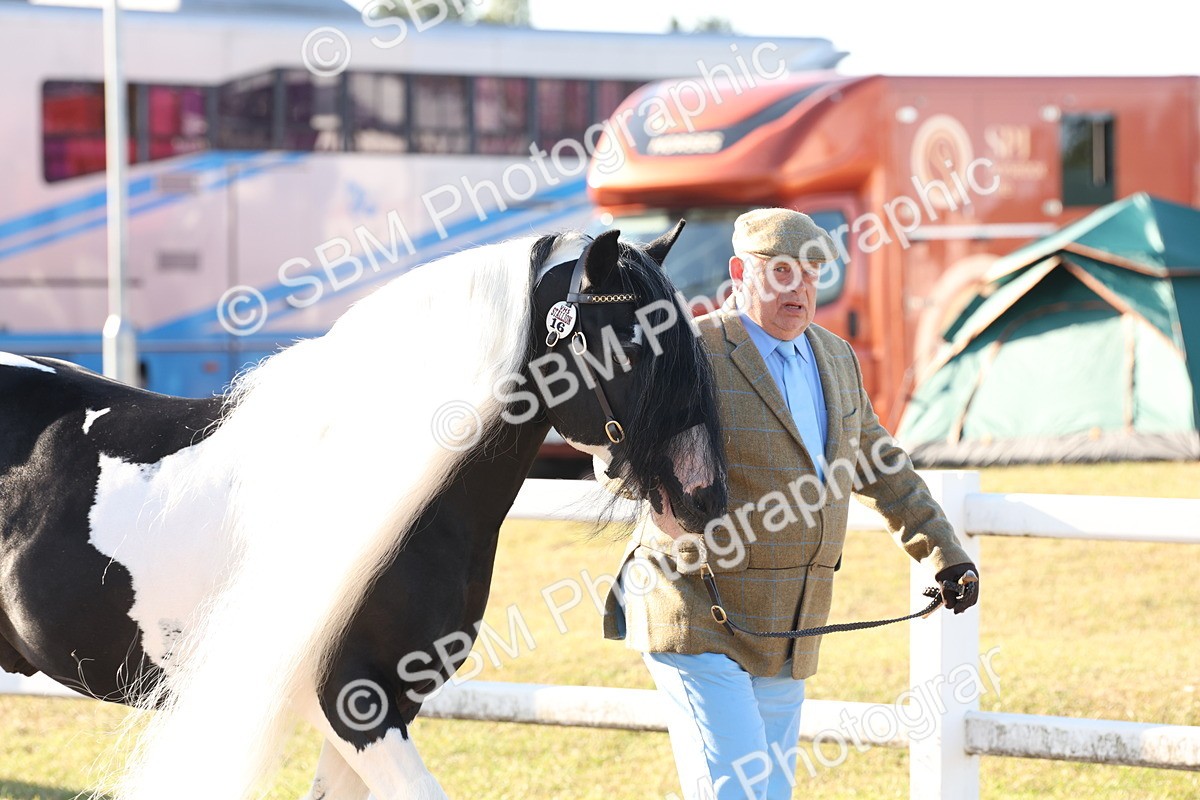 SBM_10758 - Class 201 - Best Turned Out - IH