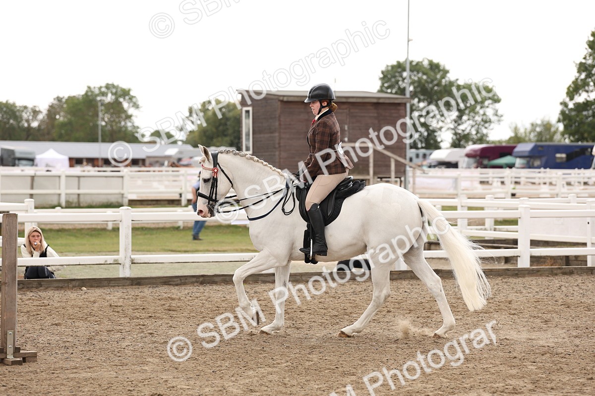 SBM_02927 - Class 53 - Ridden Competition Horse/Pony