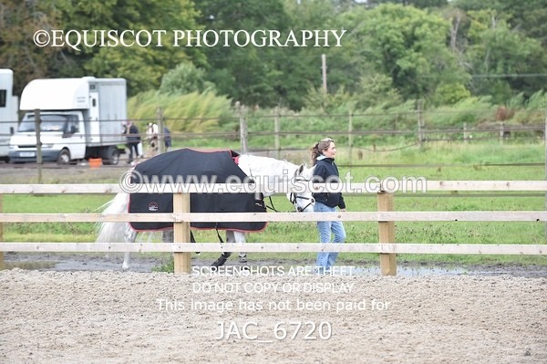 JAC_6720 - CLASS 17 SUN Pony Newcomers/ 1m Open