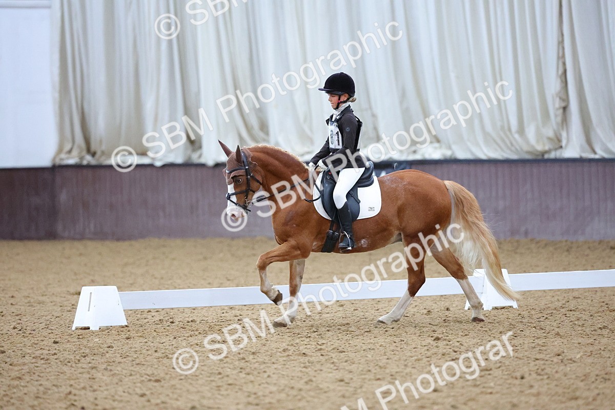 SBM_004199 - Intermediate