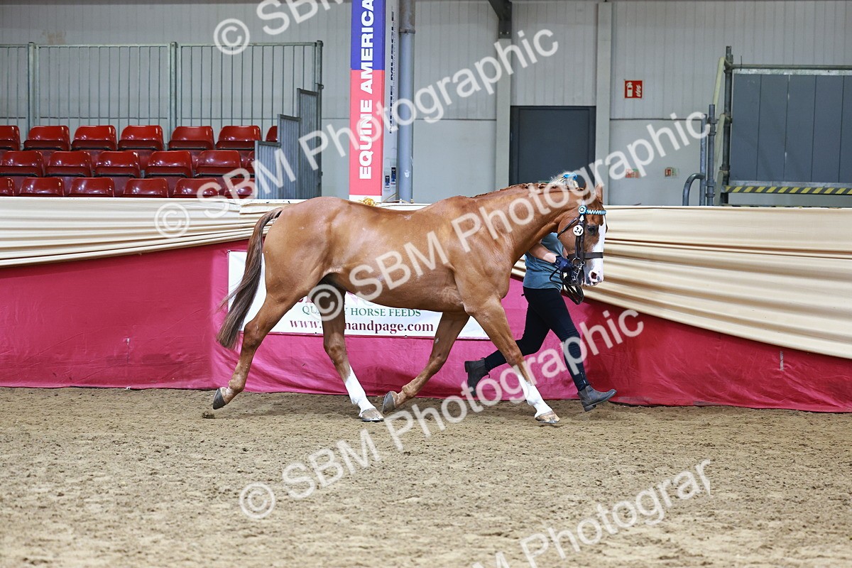 SBM_22254 - Class 902 - Supreme Final - IH Diamond