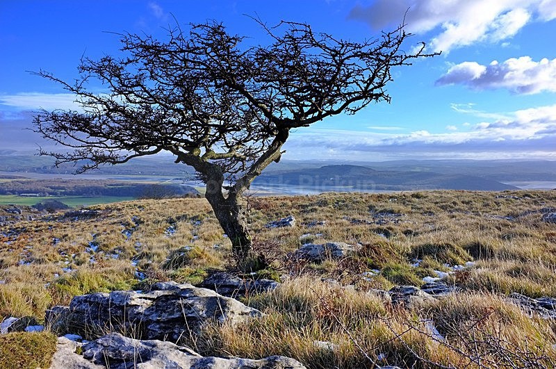 Hampsfell 01 - Landscapes around Morecambe Bay