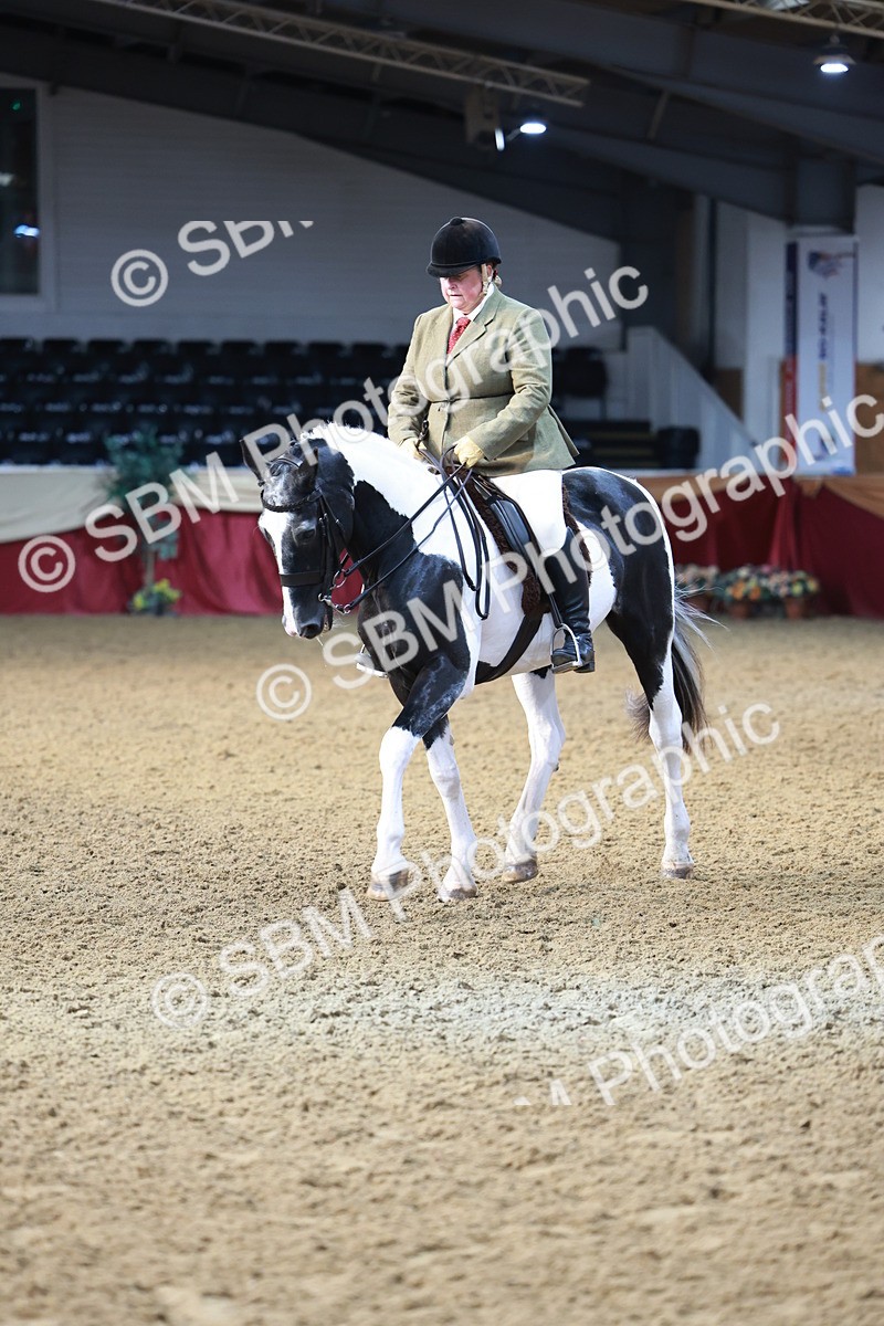 SBM_11850 - Class 102 - Equitation (Best Rider) Adult