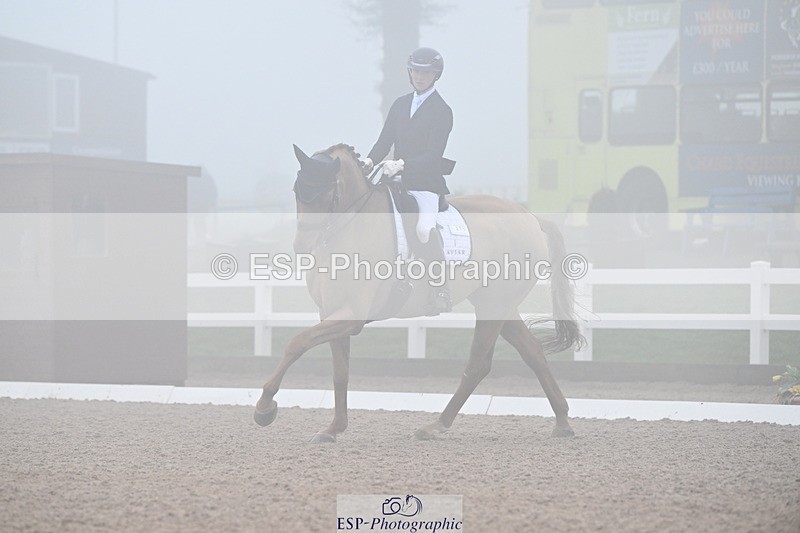 240217A-131421-02782 - 271-Tom.Carter-Rubin.Regal