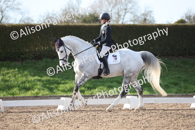 20260214-0831 - Class 7 - Elementary 2