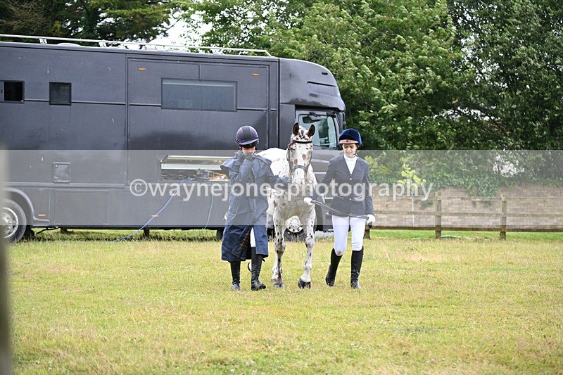 WJ6_8693 - Class 10 Coloured in-hand